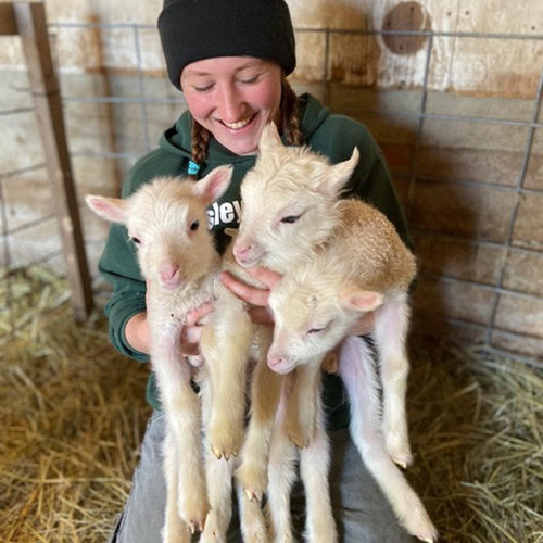 Yanke Rock Farm, Orwell, Vermont