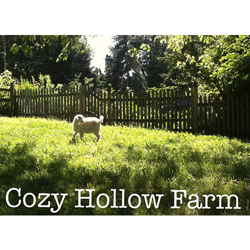 Cozy Hollow Farm, Northfield, VT - Vermont Fibershed