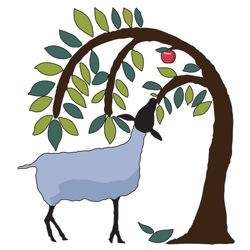 VT Grand View Farm, Washington, VT - Vermont Fibershed