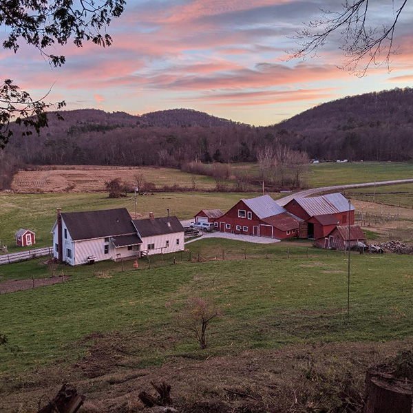 Willis Towne Farm - member - Vermont Fibershed